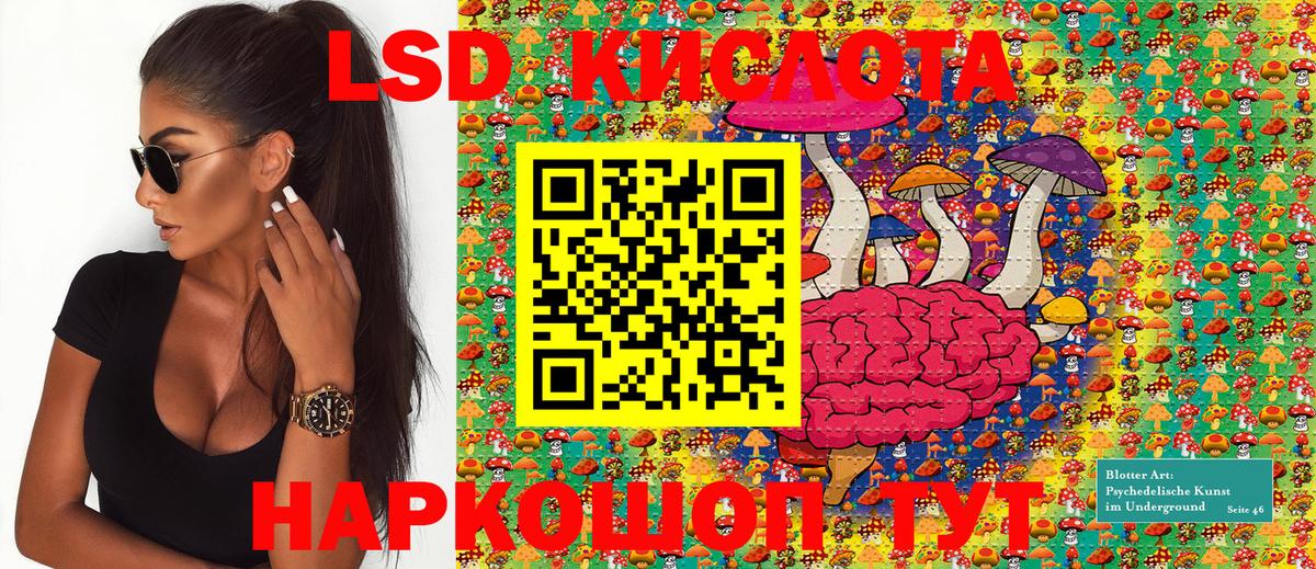 купить наркоту  Наркотические марки 1500мкг  Вход с VPN  Зеленокумск 