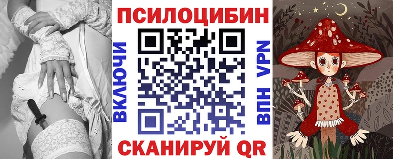 darknet формула  Зеленокумск  Псилоцибиновые грибы Cubensis  где продают   кракен ссылки 