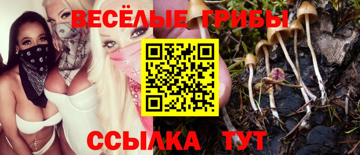 Зеленокумск  Галлюциногенные грибы прущие грибы  Вход с VPN 